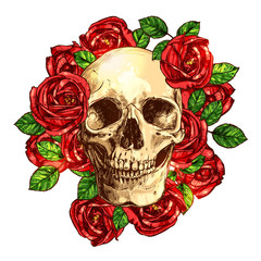 Skull With Roses Hand Drawn Illustration