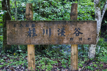 愛媛県西予市　桂川渓谷　看板