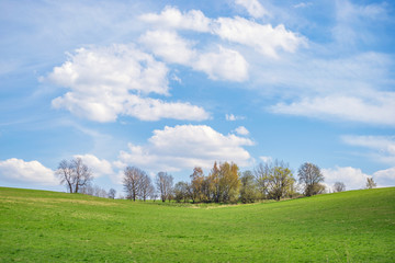 Green landscape hill meadow blue sky background