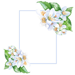 Frame with jasmine flowers. isolated. watercolor illustration.