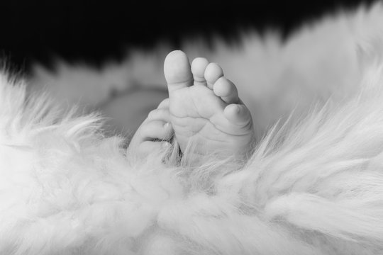 New born Baby's tiny feet's closeup,New born Baby's tiny feet's close up. black and white picture.