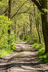 Fototapeta premium Landscape