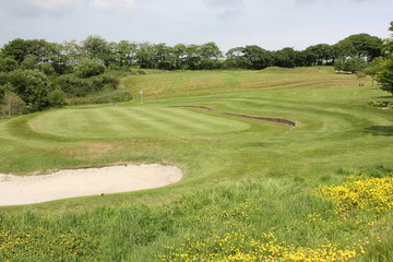 A golf course during the summer of 2016