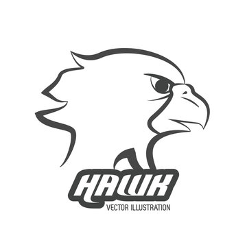 Haluk animal icon. Bird design. Vector graphic