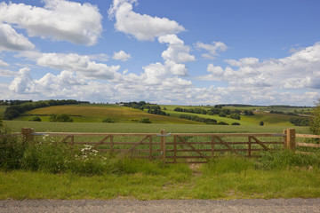 scenic landscape with new fence