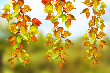 Autumn landscape. Beautiful autumn leaves. Golden autumn.