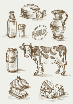 Set of images of dairy products. Cow, butter, bottle and a glass of milk, cheese head, slices, milk can, jar and label. Hand drawn doodle vector illustration. Natural product for a healthy lifestyle.