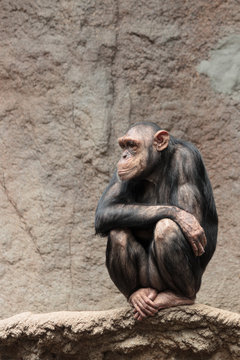 In Gedanken.. | ..In Thoughts