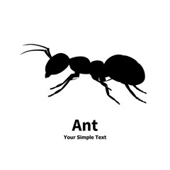 Vector illustration silhouette of ant