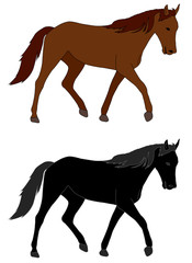 horse illustration