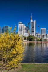 Fototapeta premium Frankfurt am Main