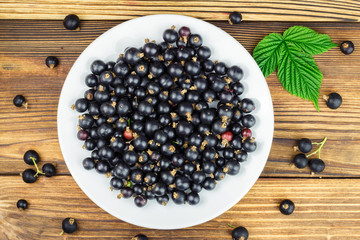 Black ripe currant in plate on wooden background, top view