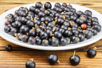 Black ripe currant in white plate on wooden background.