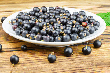 Black ripe currant in white plate on wooden background.