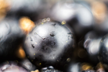 Black currant with water drops, blurred fruit background, macro shot