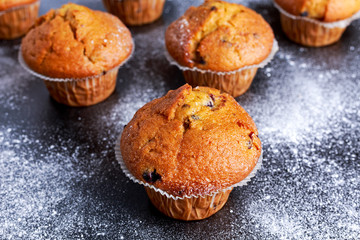 Homemade Blueberry Muffins with powdered sugar, fresh berries.