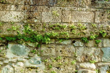 Steinmauer
