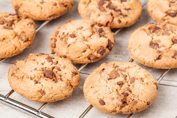 Warm, golden brown, chocolate chip cookies cooling on a rack. Backing.