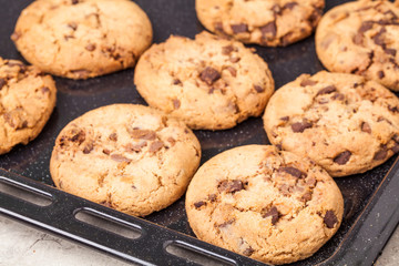 Warm, golden brown, chocolate chip cookies cooling on a rack. Backing.