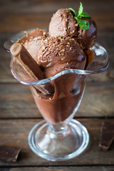 Homemade Chocolate Ice Cream