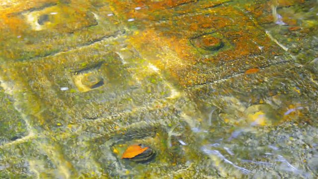 Video 1080p - Ancient symbols carved on surface of rock at the bottom. Cambodia, Phnom Kulen Linga River