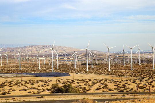green energy field