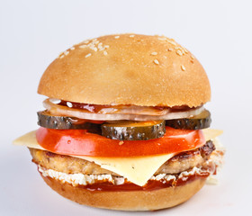 The perfect hamburger.