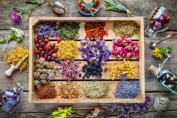 Healing herbs in wooden box on table, herbal medicine, top view. - obrazy, fototapety, plakaty