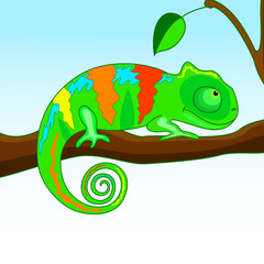 chameleon on the branch