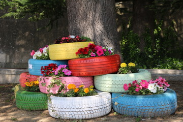Flowers blooming in old colorful car tires
