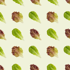 Seamless lettuce leaves pattern