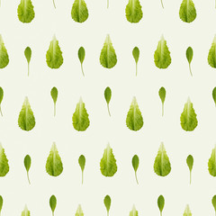 Arugula and lettuce seamles pattern