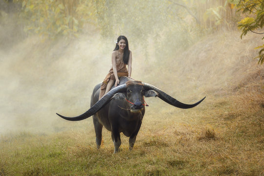 Young woman sitting on buffalo