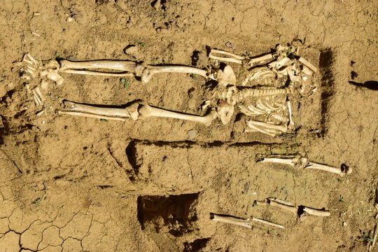 Arch&auml;ologische Grabung mit Skelettfund