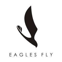 Obraz premium Logo Flying Eagles Swoop