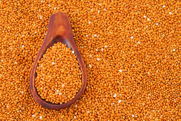 gluten free grains, millet, sorghum and linseed spoon on wooden natural background