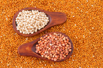 gluten free grains, millet, sorghum and linseed spoon on wooden natural background