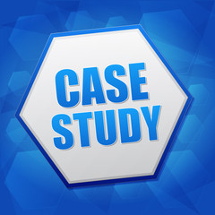 case study in hexagon over blue background, flat design, vector