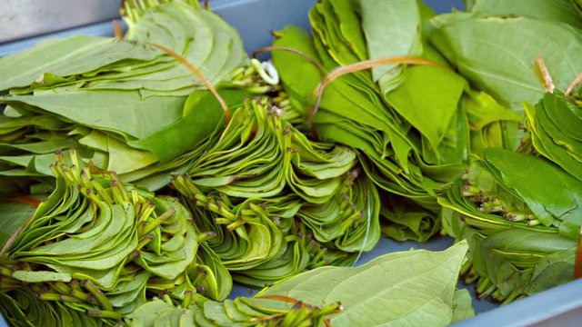 Video 1080p - Betel leaves, chewed for medicinal purposes as a mild stimulant, bundled for sale at a public market.