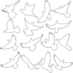 Concept of love or peace. Set of silhouettes of doves. Vector il
