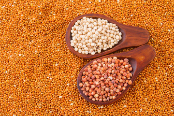 gluten free grains, millet, sorghum and linseed spoon on wooden natural background