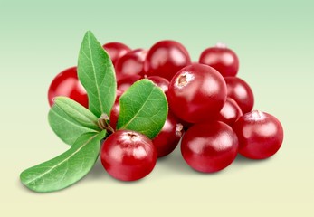 Cranberry.