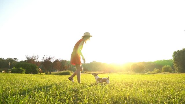 Happy slim woman running on the green grass with funny small dog Jack Russell terrier. Summer best moments. Nature background. Contre-jour motion against daylight. Slow motion video footage.
