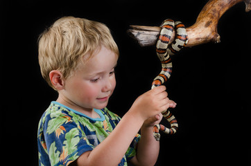 little boy and king snake Over Black Background