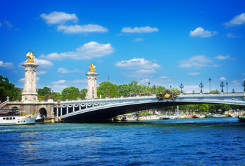 Fototapeta na wymiar Bridge of Alexandre III in Paris, France