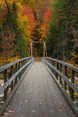 Obraz premium This is the Way