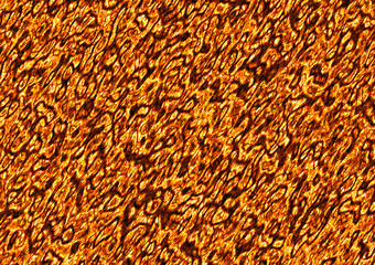 solidified hot lava fire texture