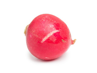 Single radish