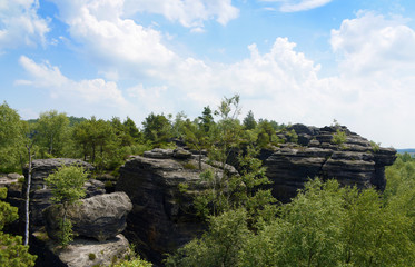 Fototapeta na wymiar Tisa rocks with green forest