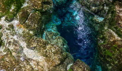 Te Puna-a-Hangurua in the Hamurana Springs, Rotorua New Zealand. There is around 4,500,00 litres of water flow out of the spring each hour.
